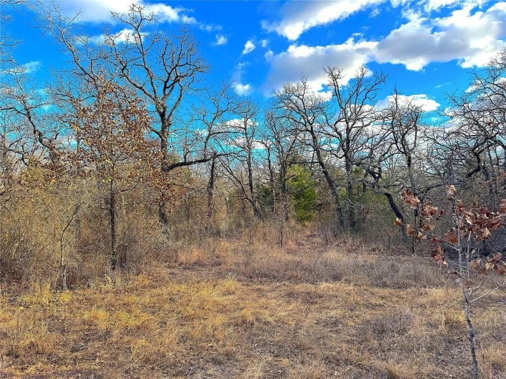 89.96 acres in Parker County - photo 25