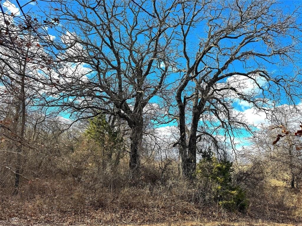 89.96 acres in Parker County - photo 6