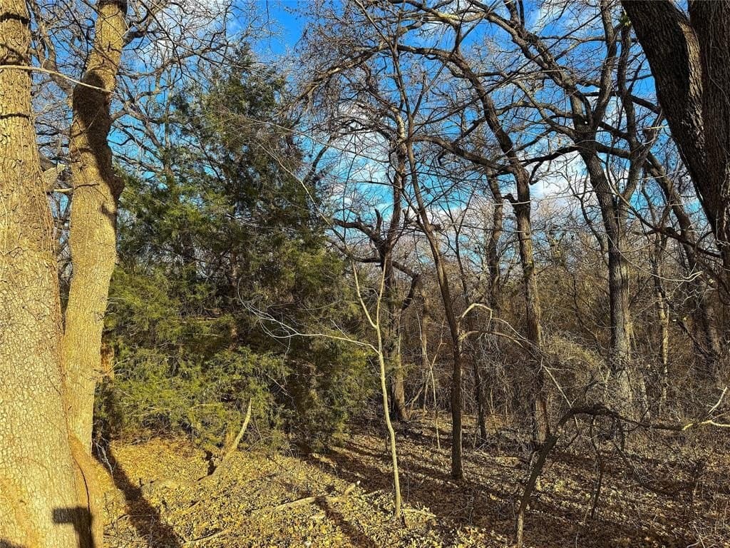 89.96 acres in Parker County - photo 23