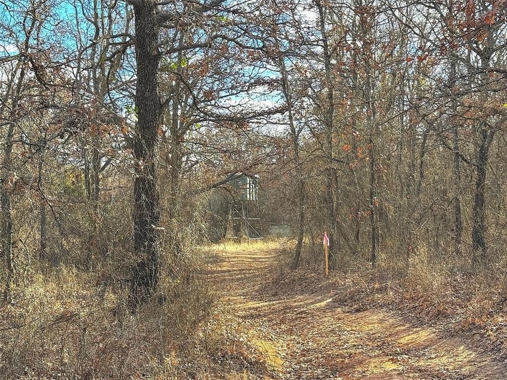 89.96 acres in Parker County - photo 10