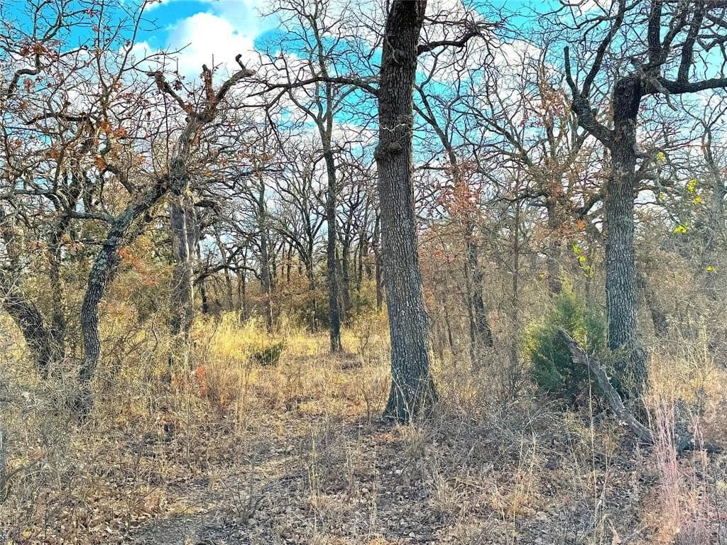 89.96 acres in Parker County - photo 34