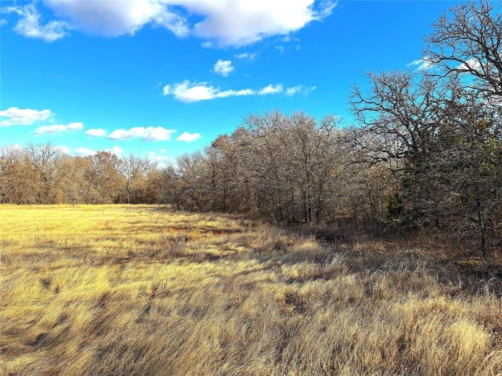 89.96 acres in Parker County - photo 13