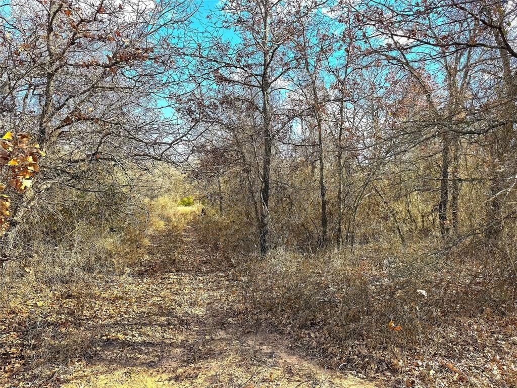 89.96 acres in Parker County - photo 15