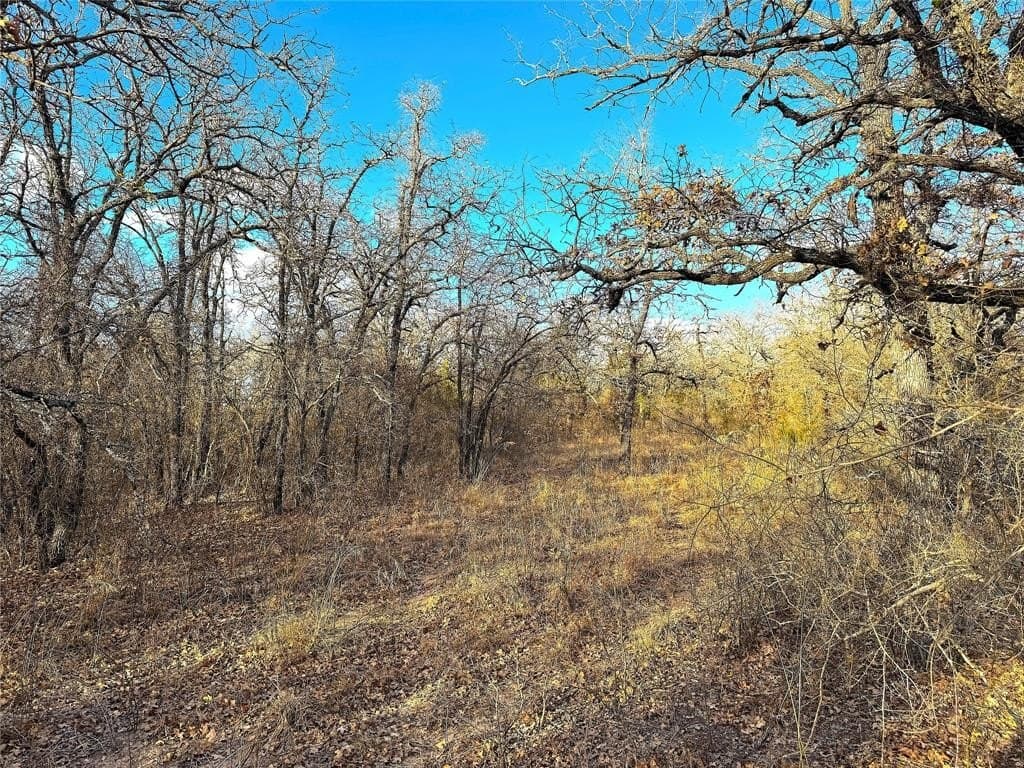 89.96 acres in Parker County - photo 27