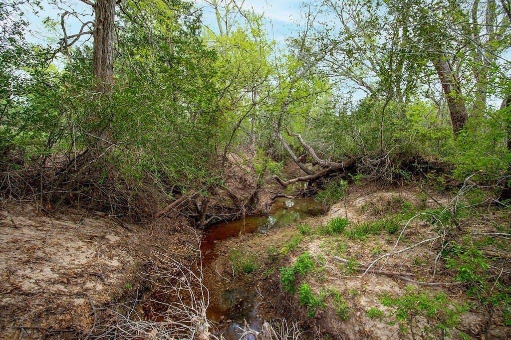 40.8 acres in Fayette County - photo 5