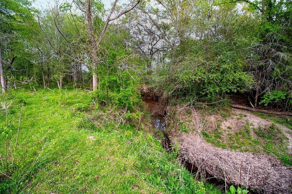 40.8 acres in Fayette County - photo 4