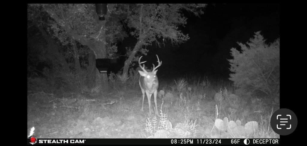 25.81 acres in Schleicher County - photo 18
