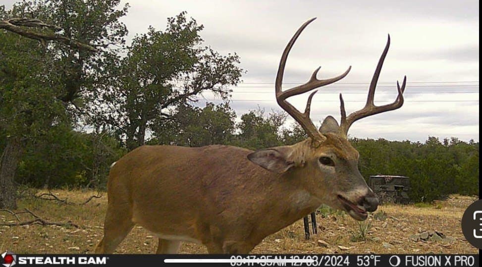 25.81 acres in Schleicher County - photo 6