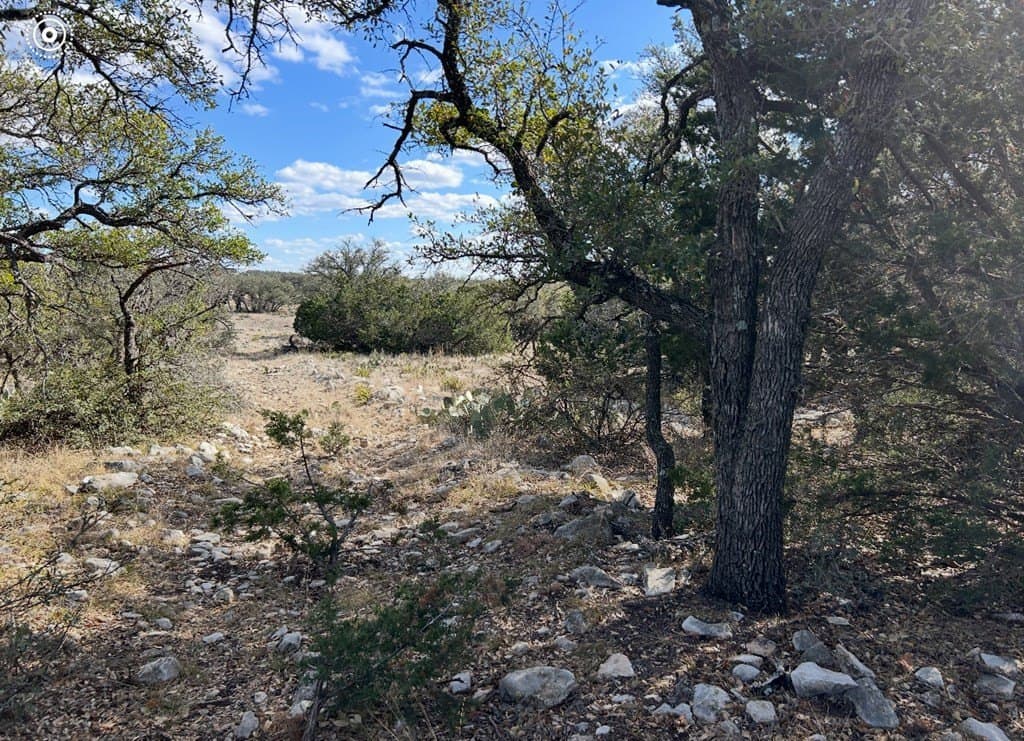 25.81 acres in Schleicher County - photo 13