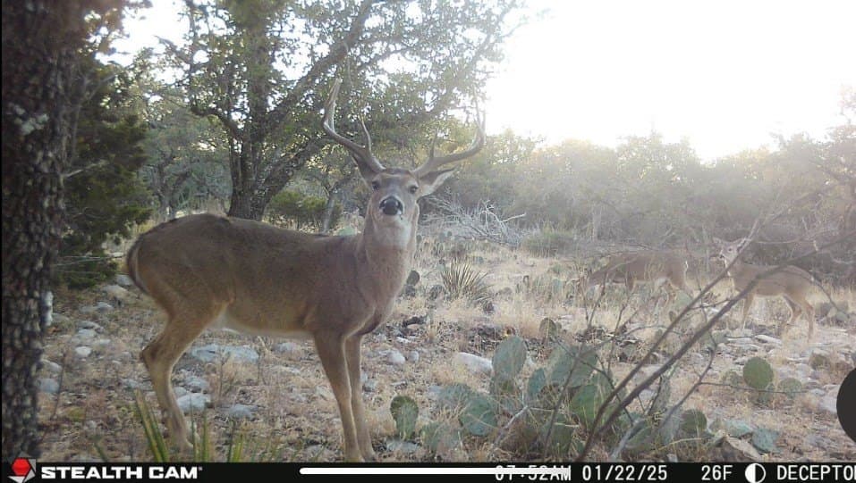 25.81 acres in Schleicher County - photo 4