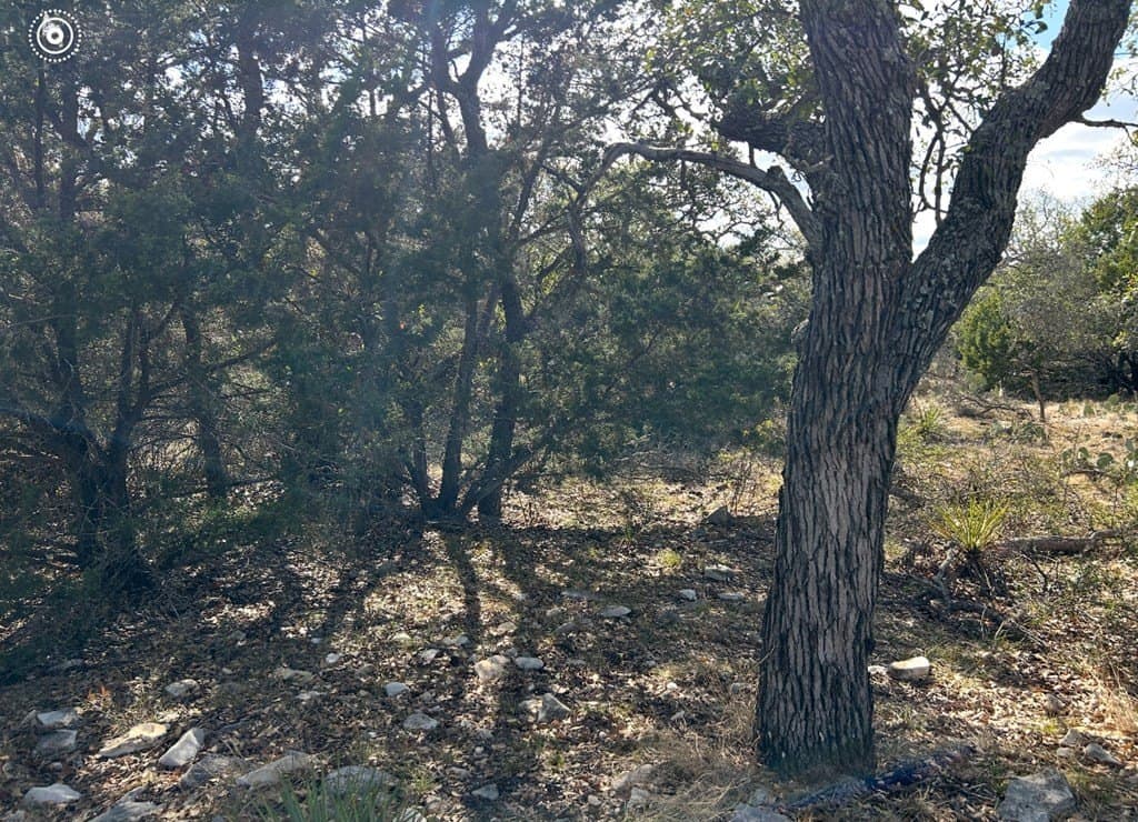25.81 acres in Schleicher County - photo 14
