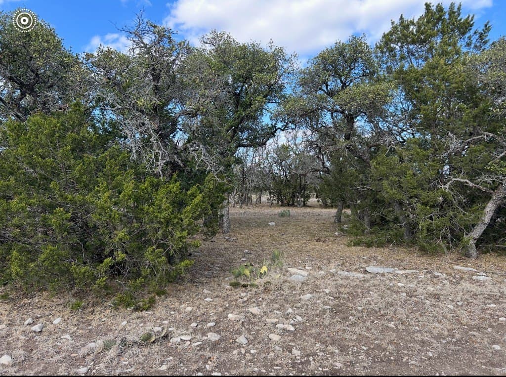 25.81 acres in Schleicher County - photo 15