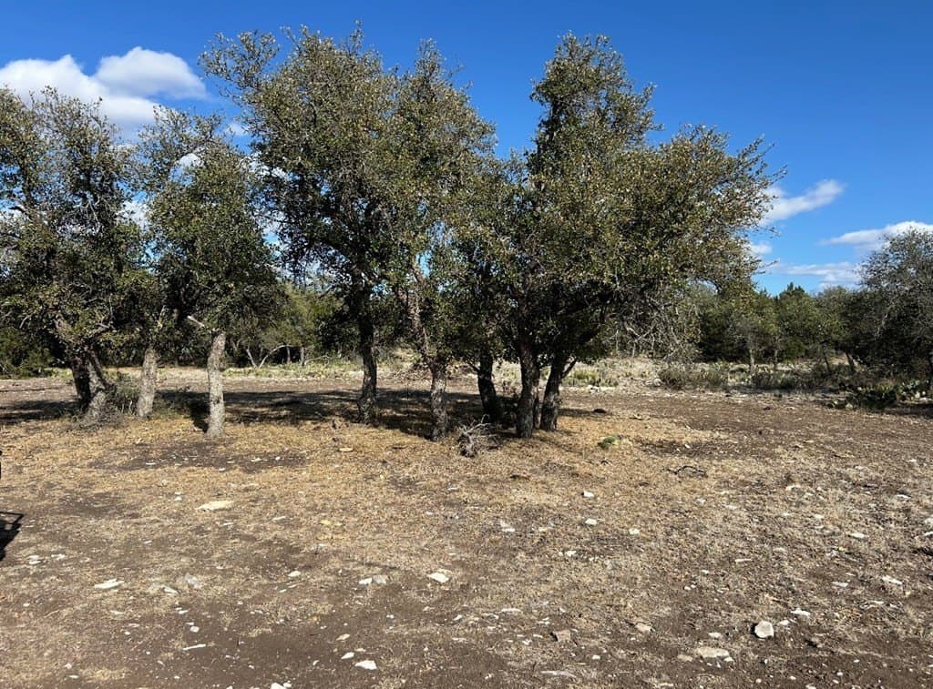 25.81 acres in Schleicher County - photo 2