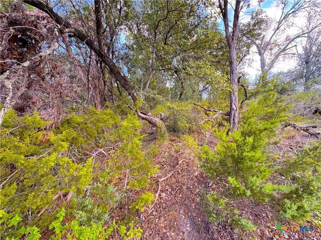 0.33 acres in Comal County - photo 4