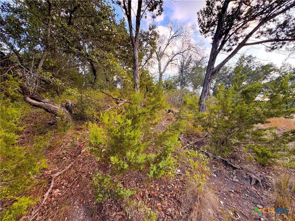 0.33 acres in Comal County - photo 5