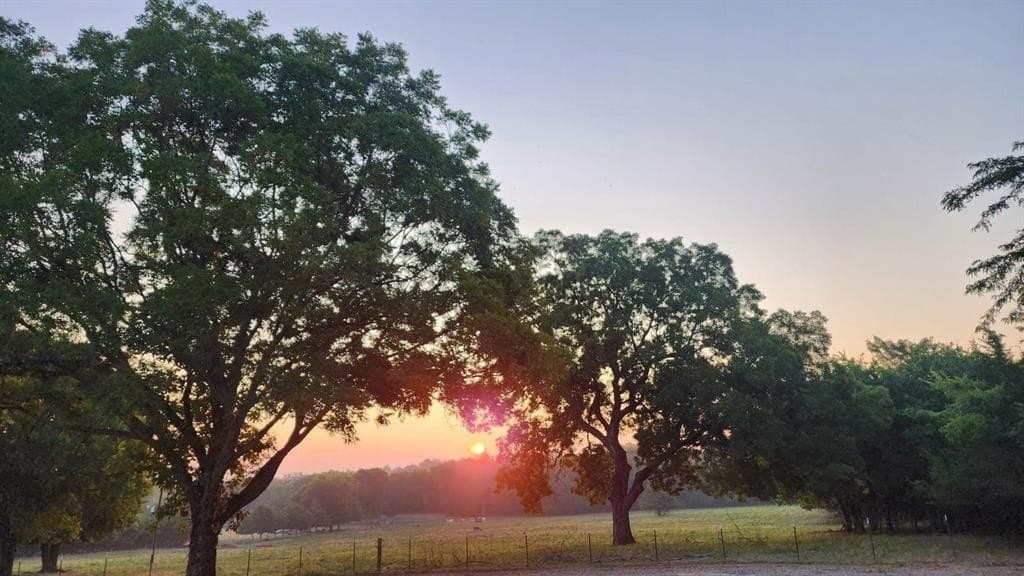 4 acres in Fannin County - photo 10