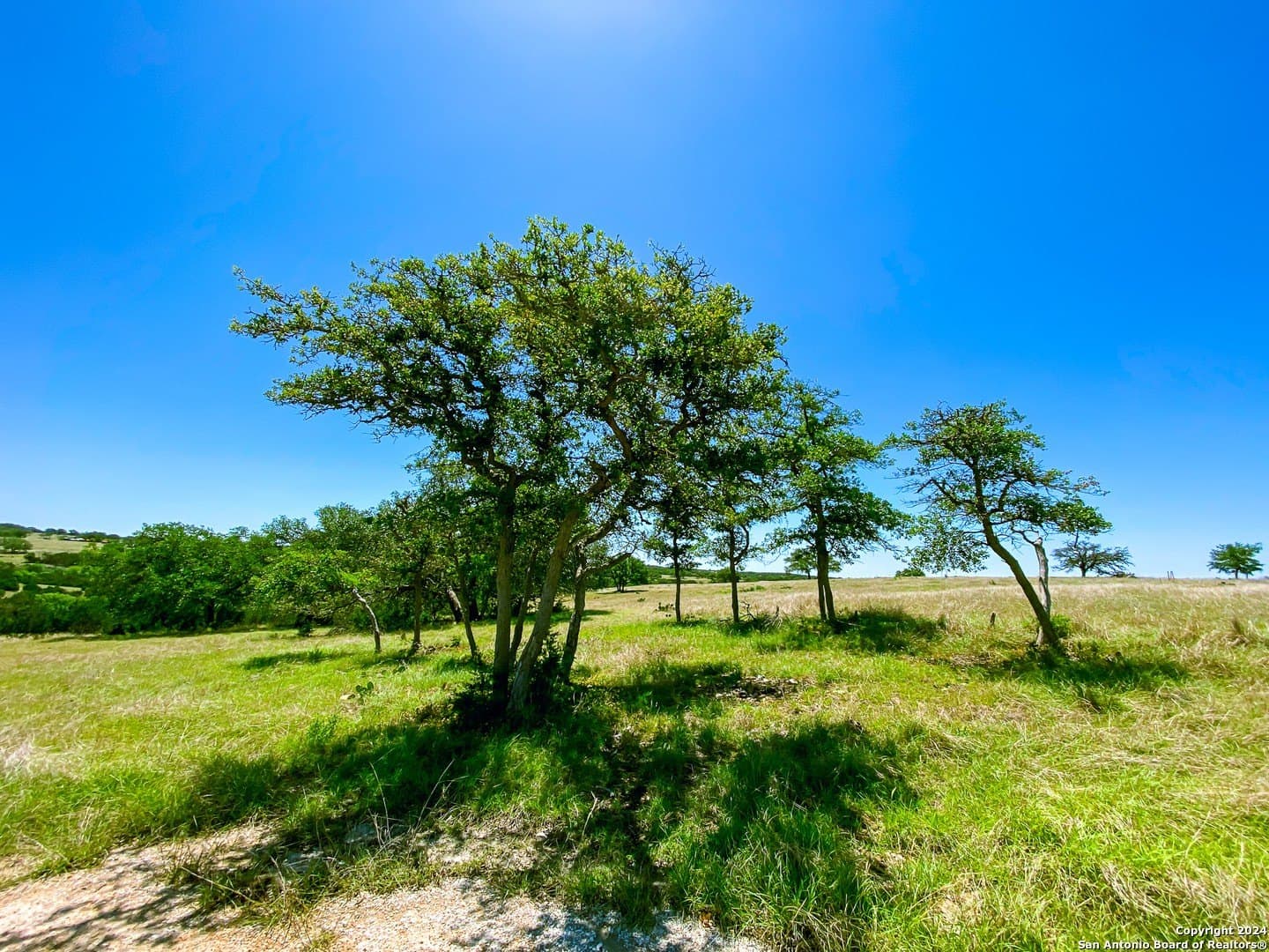 4.02 acres in Gillespie County - photo 4