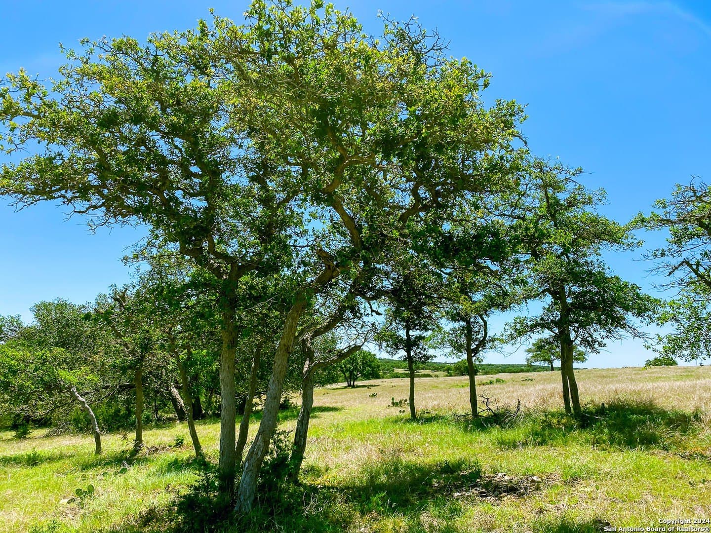 4.02 acres in Gillespie County - photo 3