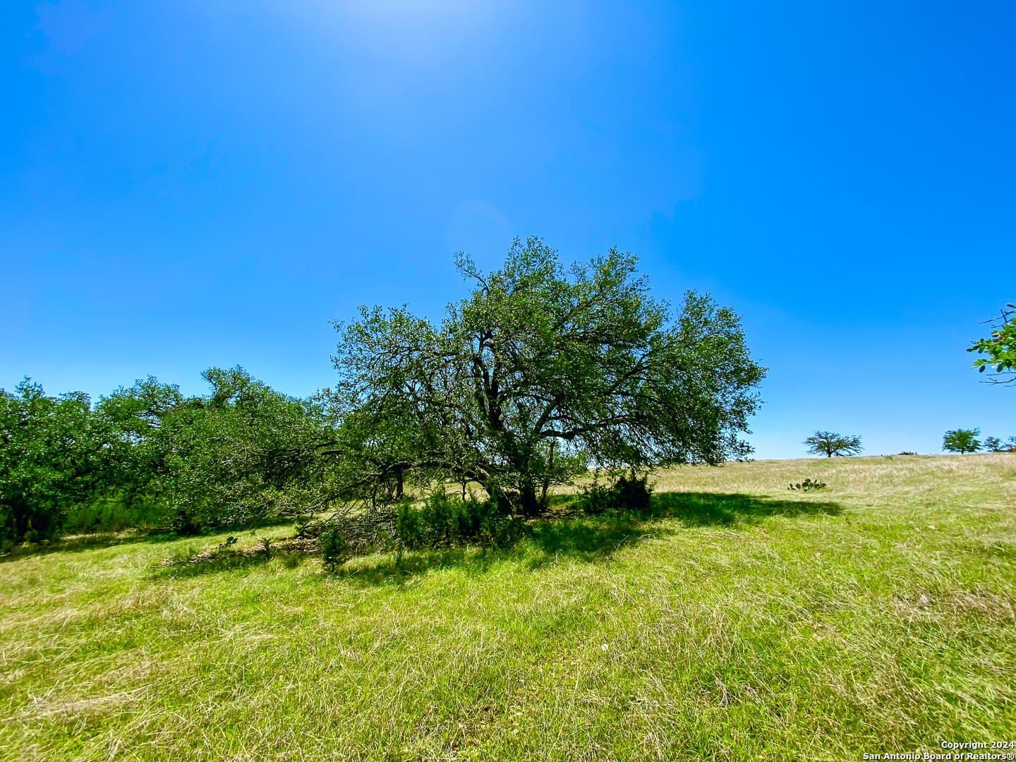 4.02 acres in Gillespie County - photo 5