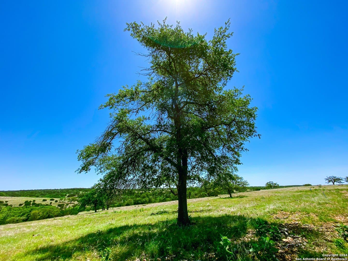 4.02 acres in Gillespie County - photo 12