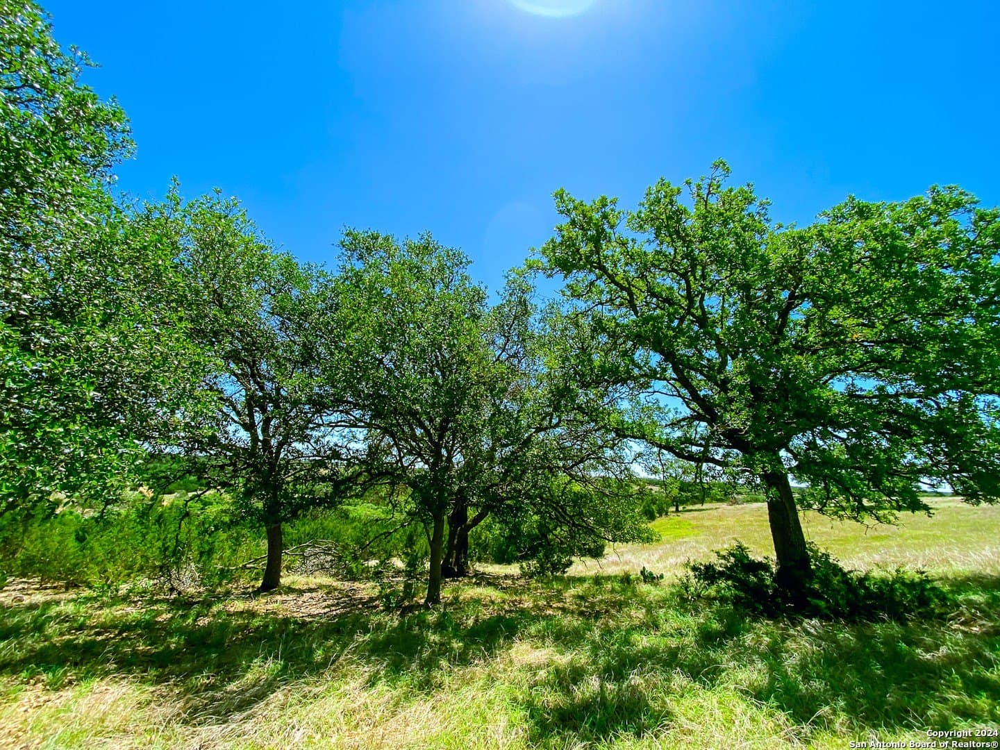 4.02 acres in Gillespie County - photo 8
