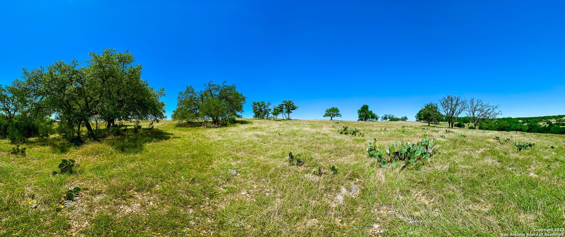 4.02 acres in Gillespie County - photo 10