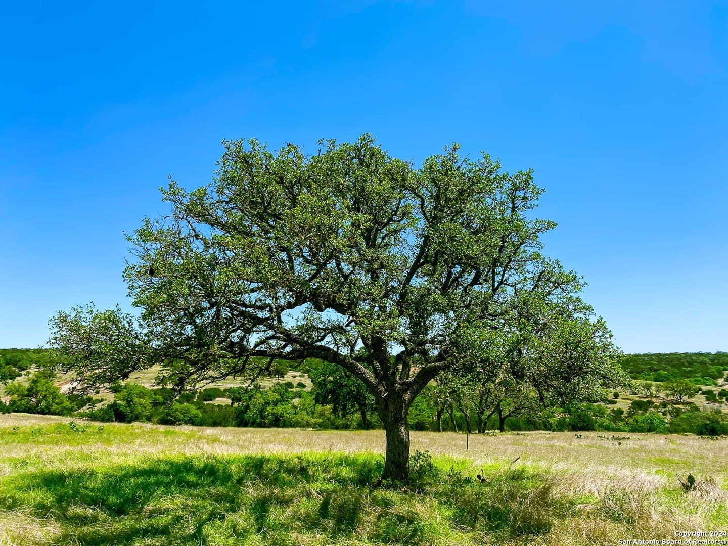 4.02 acres in Gillespie County - photo 2