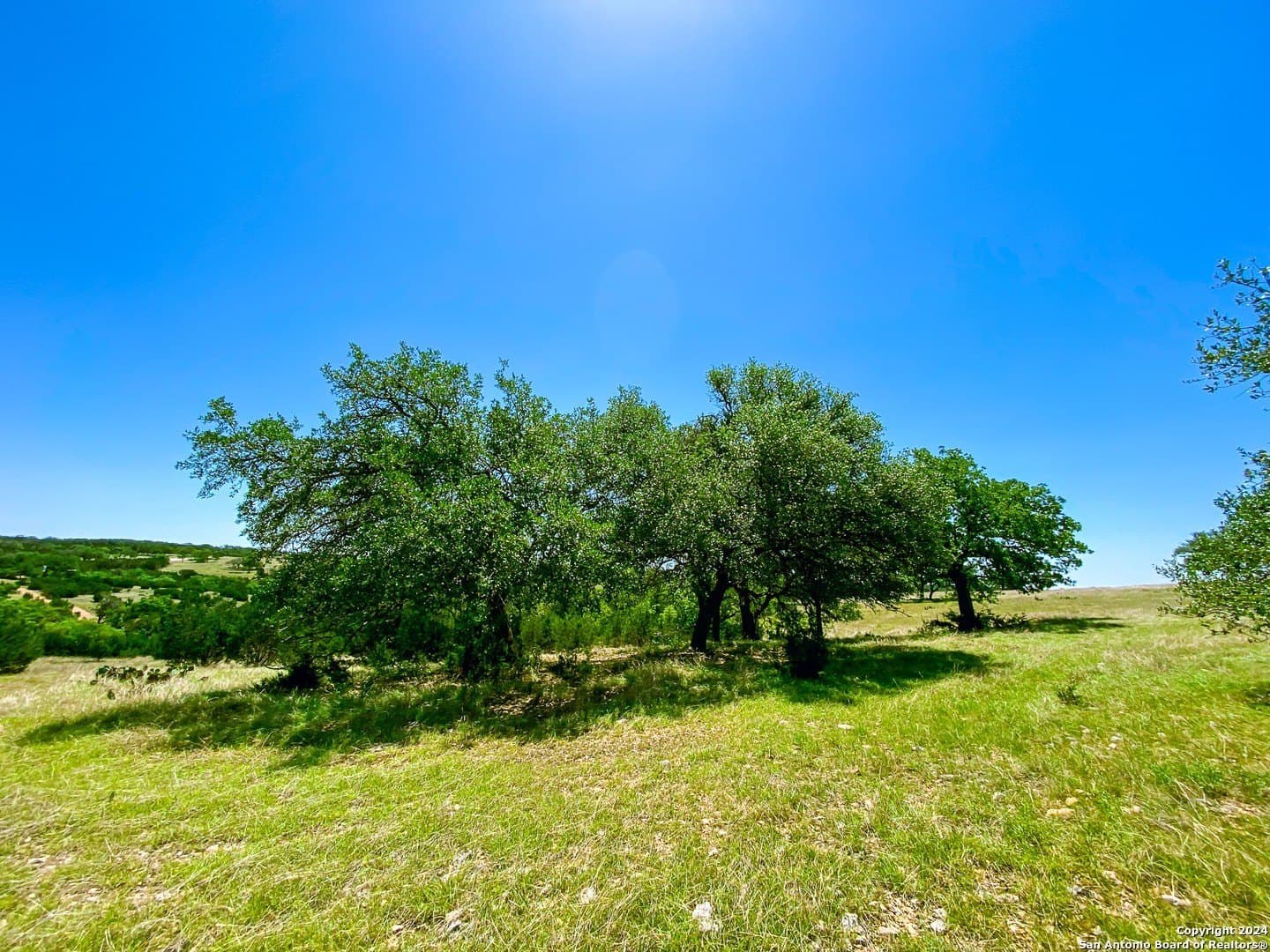 4.02 acres in Gillespie County - photo 6