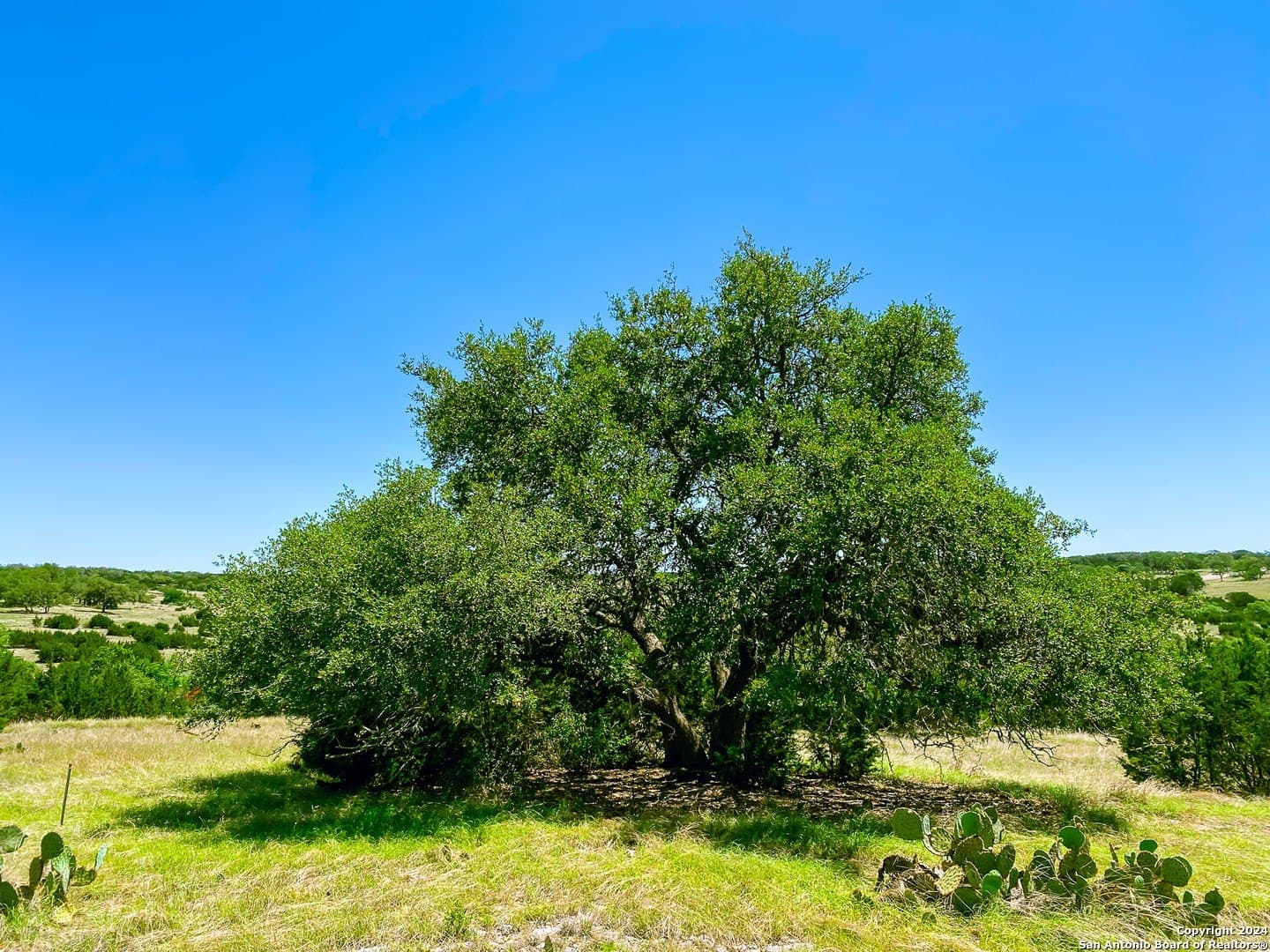 4.02 acres in Gillespie County - photo 9