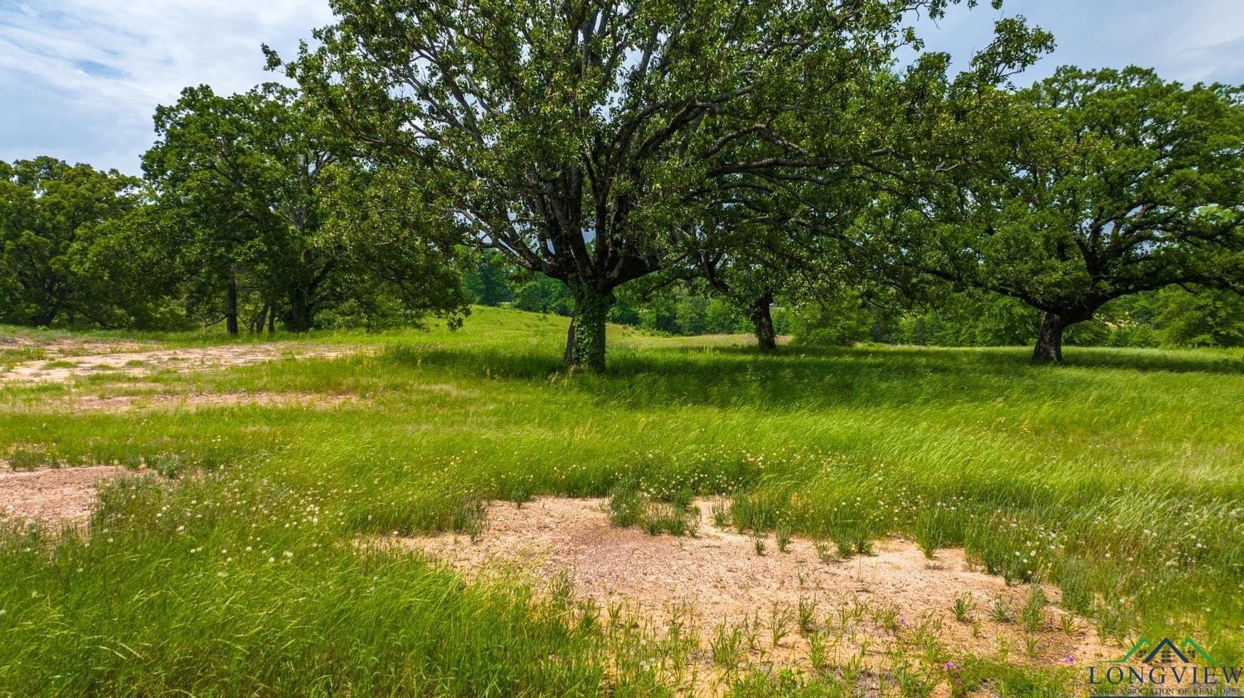 10.15 acres in Upshur County - photo 18