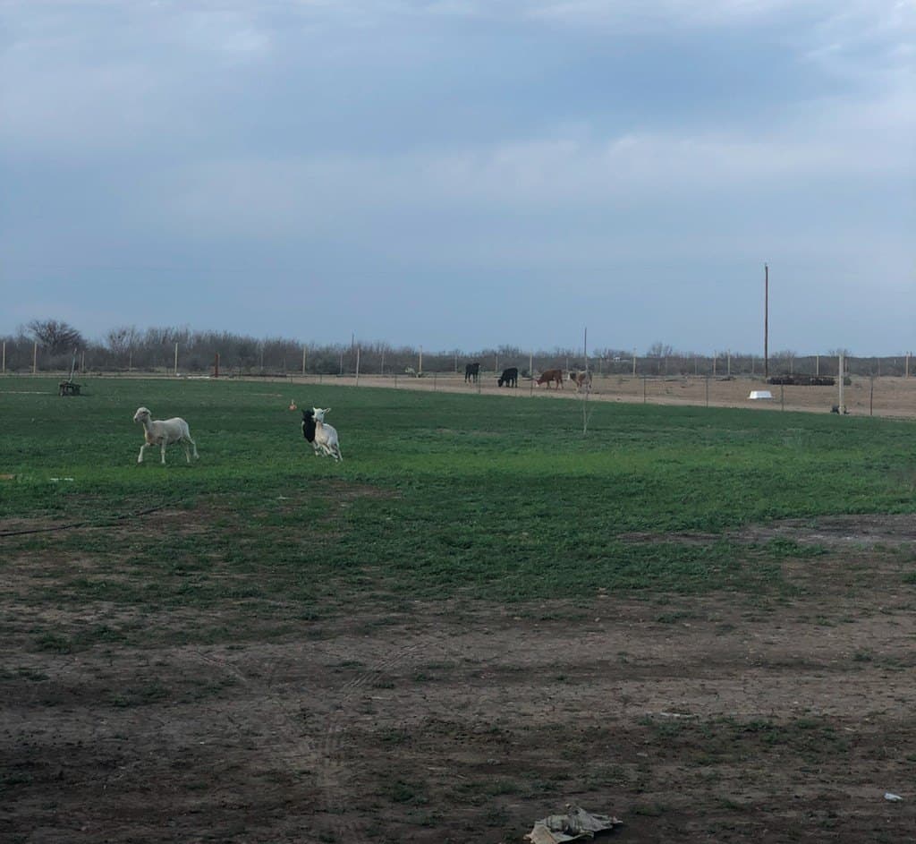 30 acres in Maverick County - photo 5