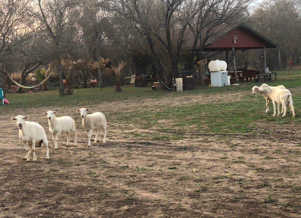 30 acres in Maverick County - photo 4
