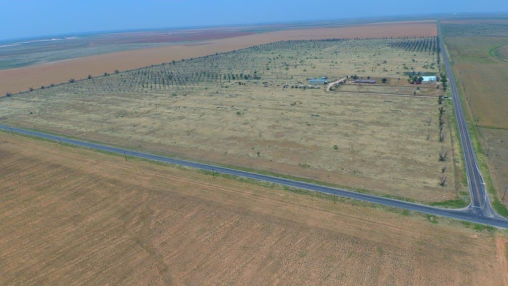 25 acres in Dawson County - photo 6