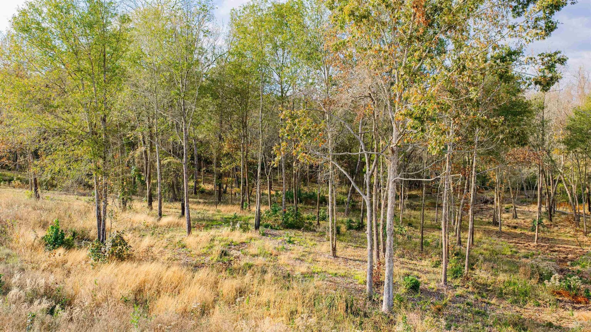 6.09 acres in Gregg County - photo 11