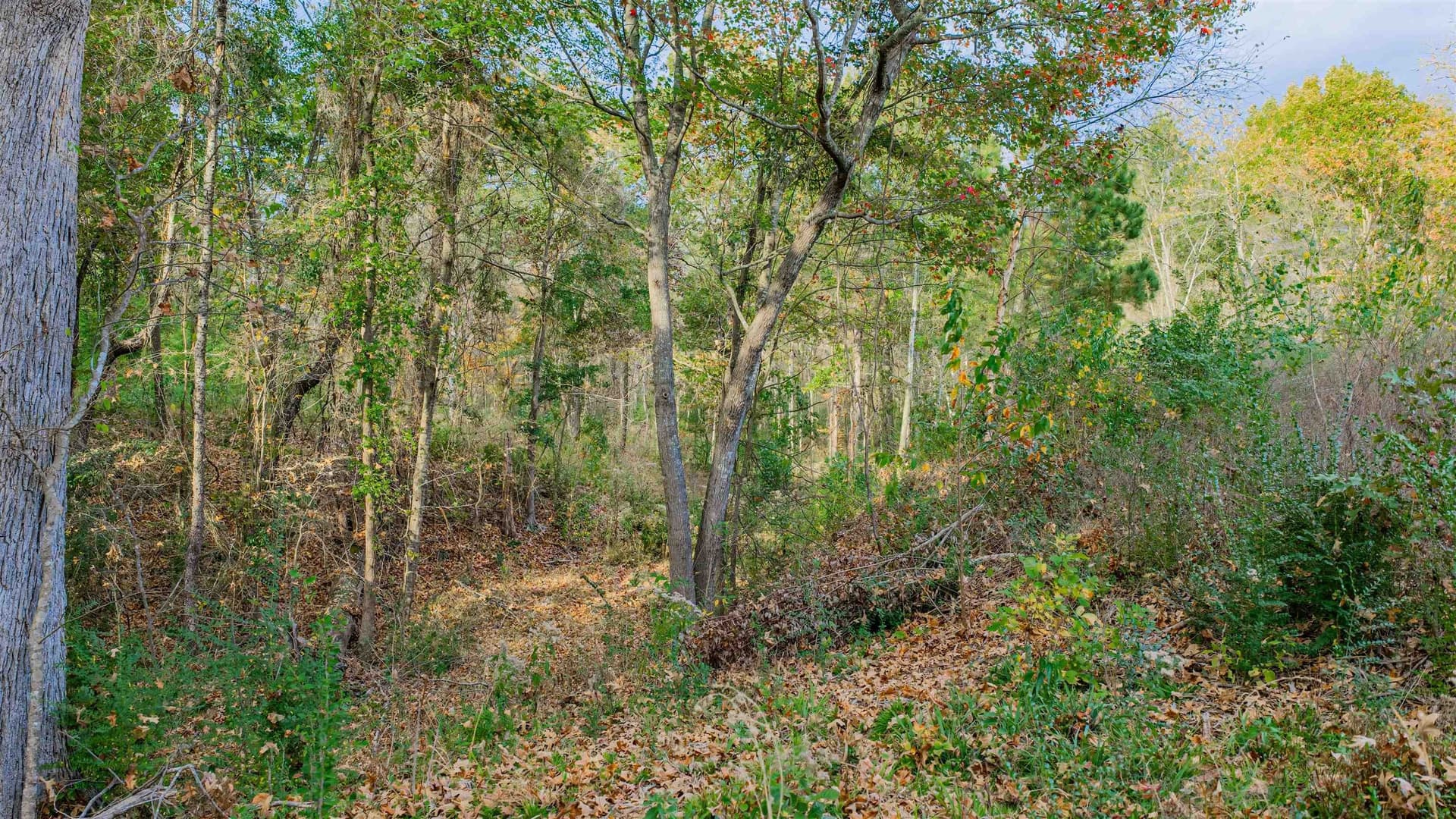 6.09 acres in Gregg County - photo 5