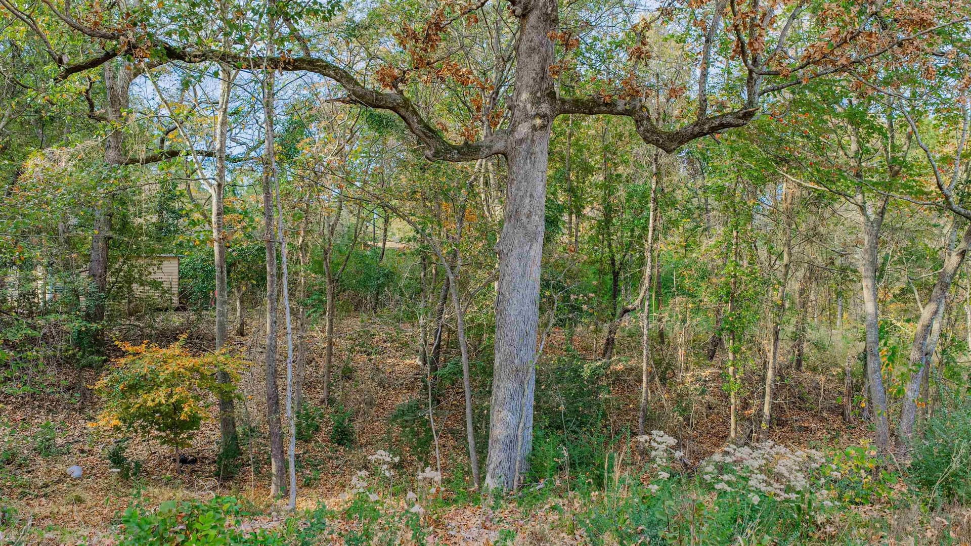 6.09 acres in Gregg County - photo 6