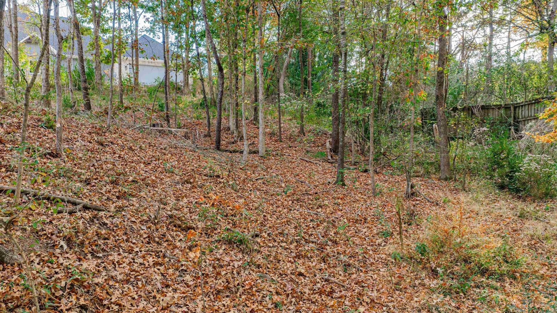 6.09 acres in Gregg County - photo 3
