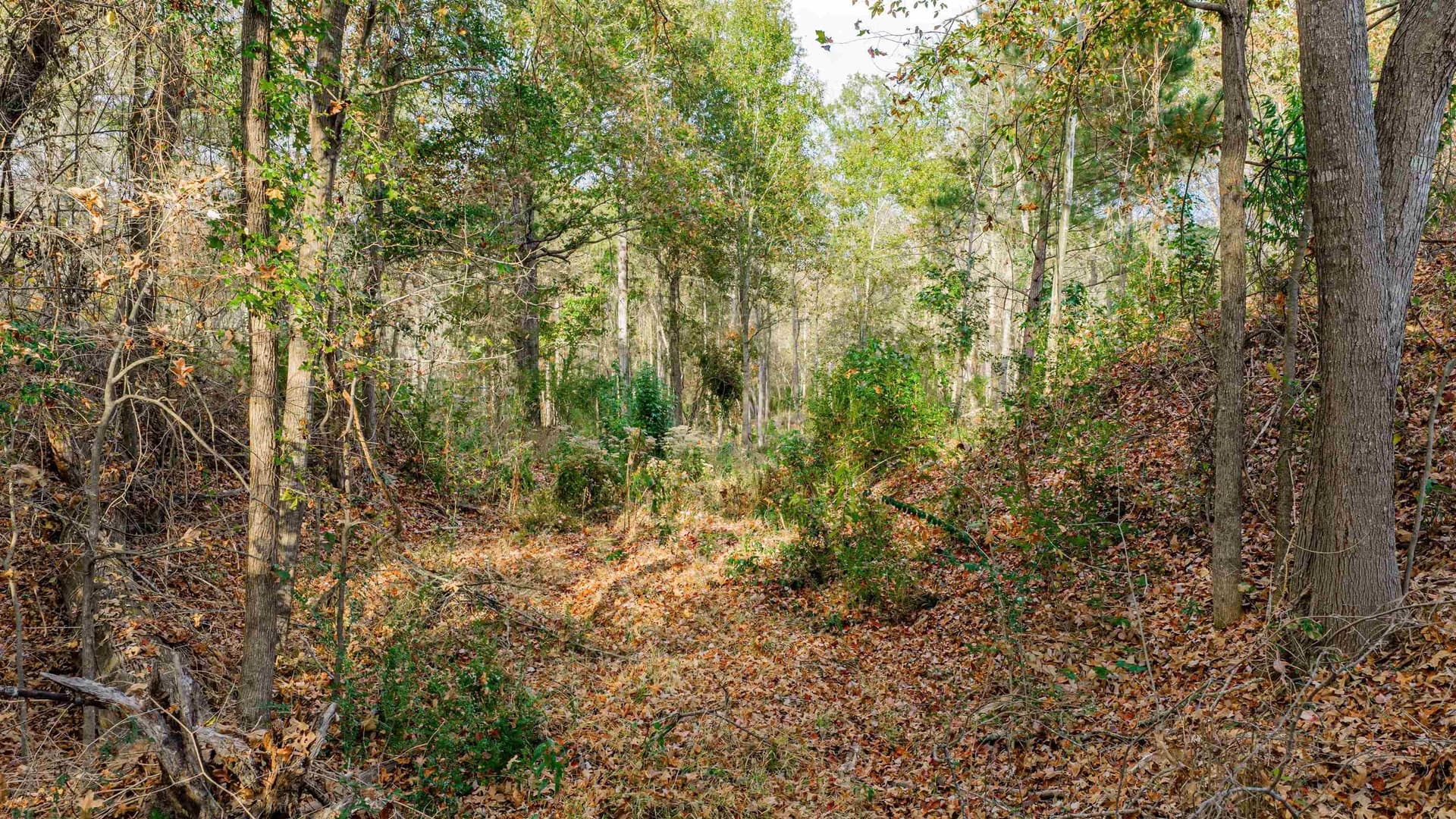6.09 acres in Gregg County - photo 4
