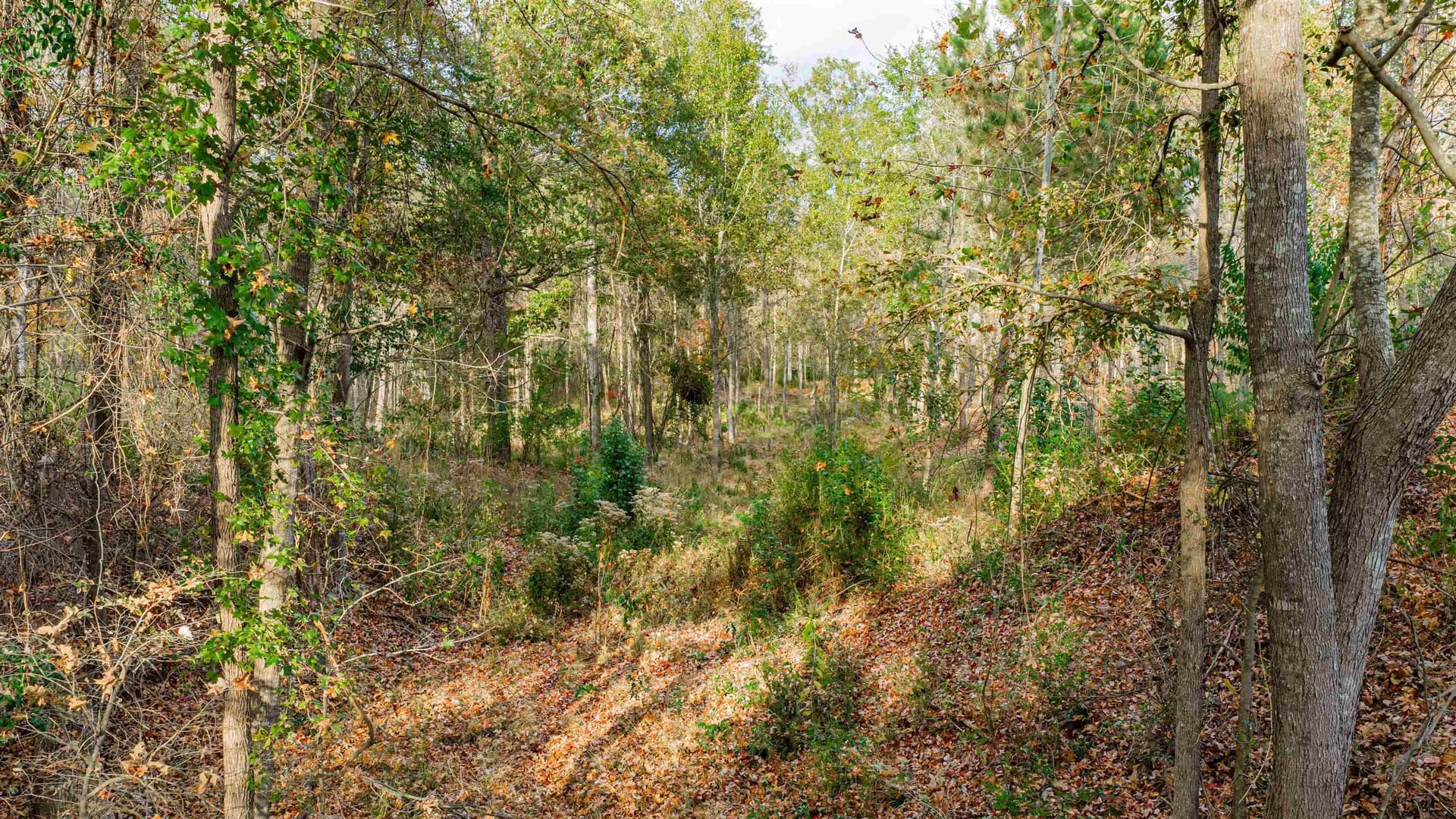 6.09 acres in Gregg County - photo 2
