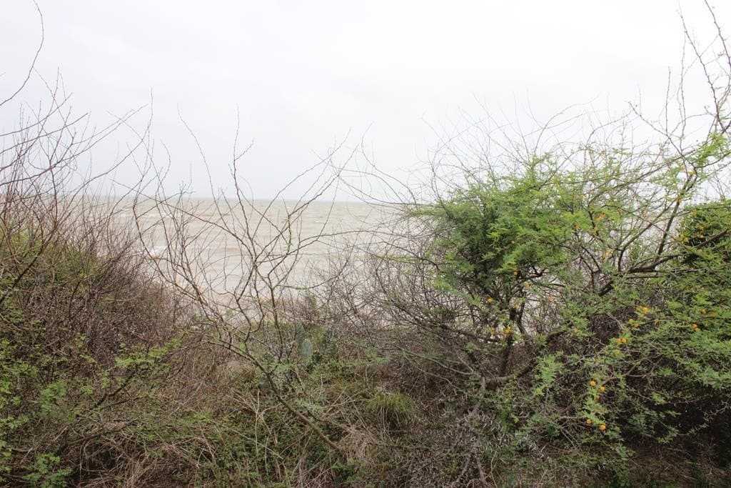 0.21 acres in Texas County - photo 3