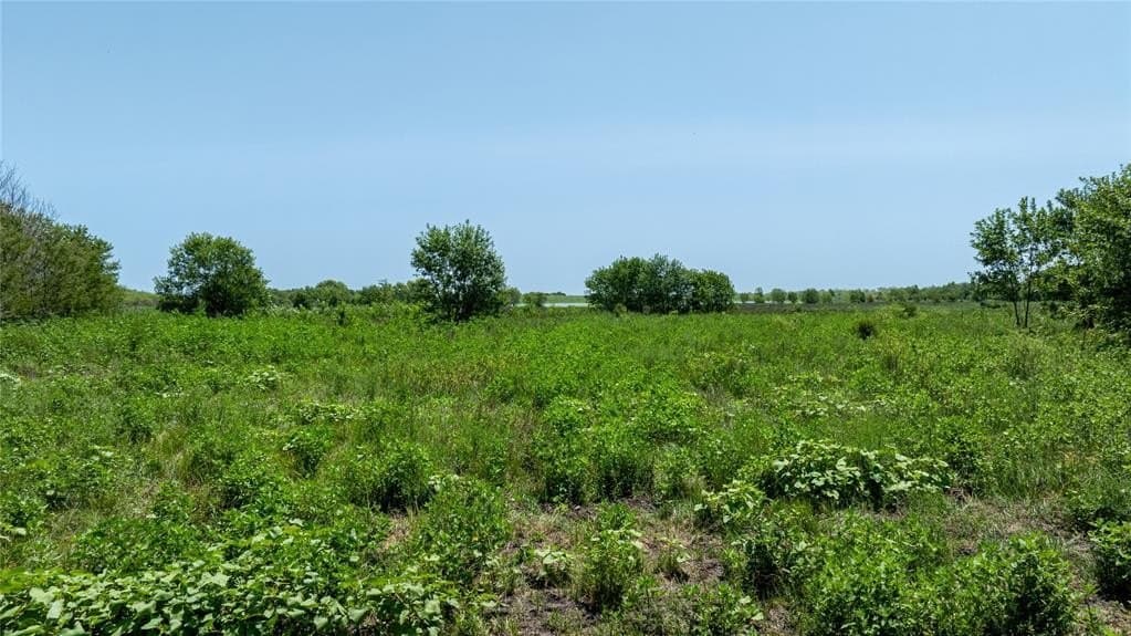 10.88 acres in Navarro County - photo 7