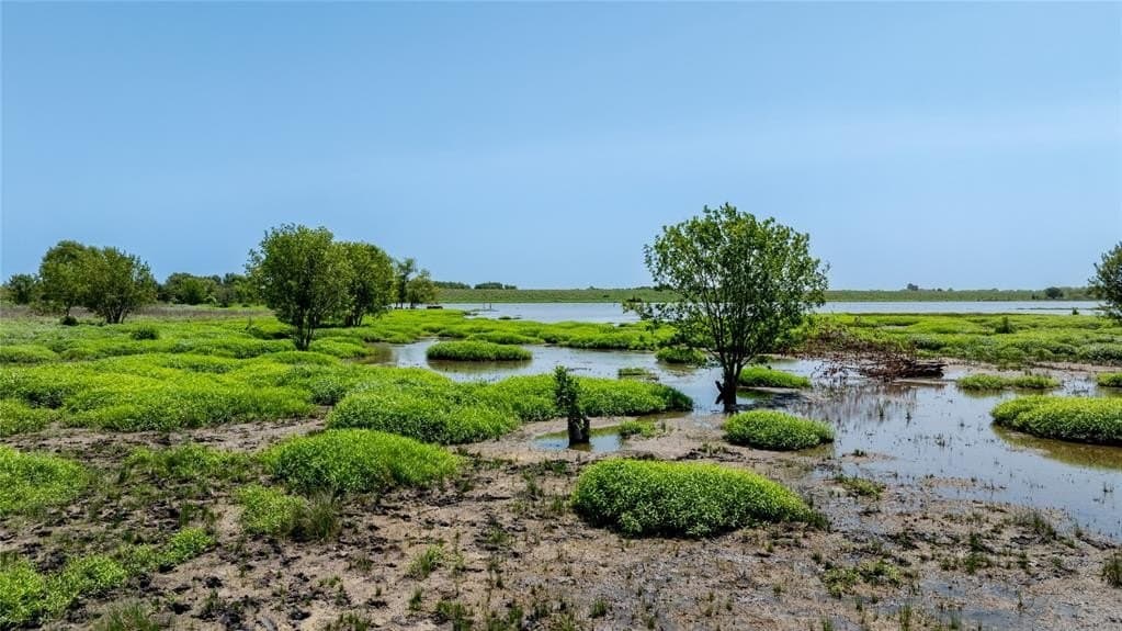 10.88 acres in Navarro County - photo 17