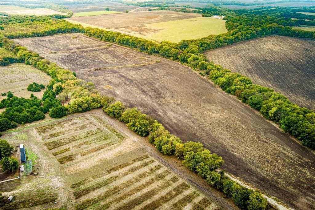 54.76 acres in Fannin County - photo 11
