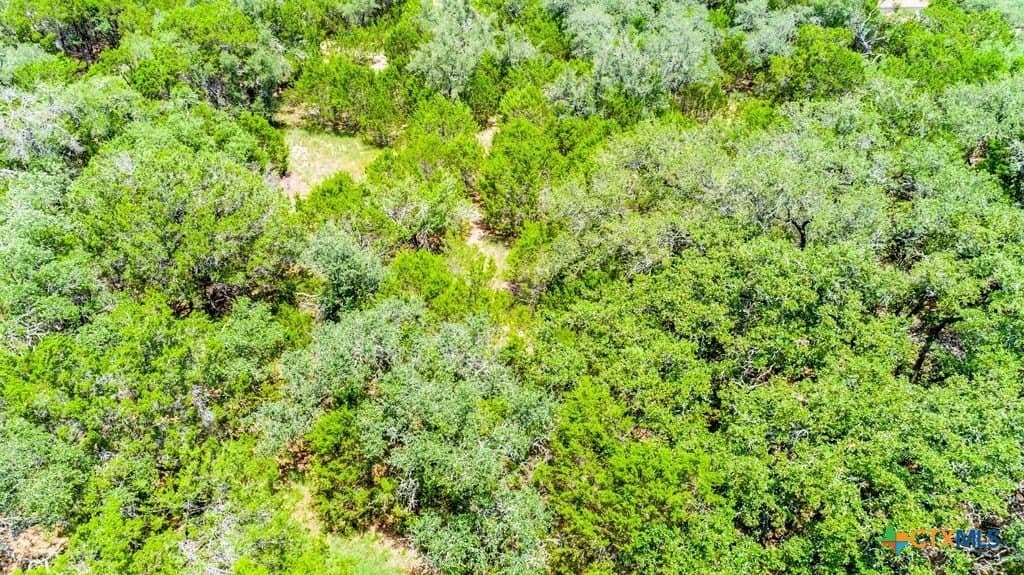 1.26 acres in Comal County - photo 11