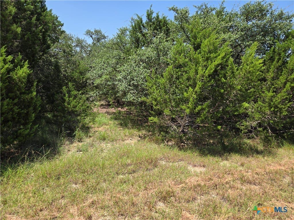 1.26 acres in Comal County - photo 21