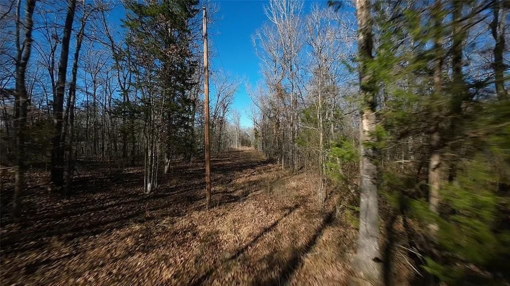 10.35 acres in Bowie County - photo 14