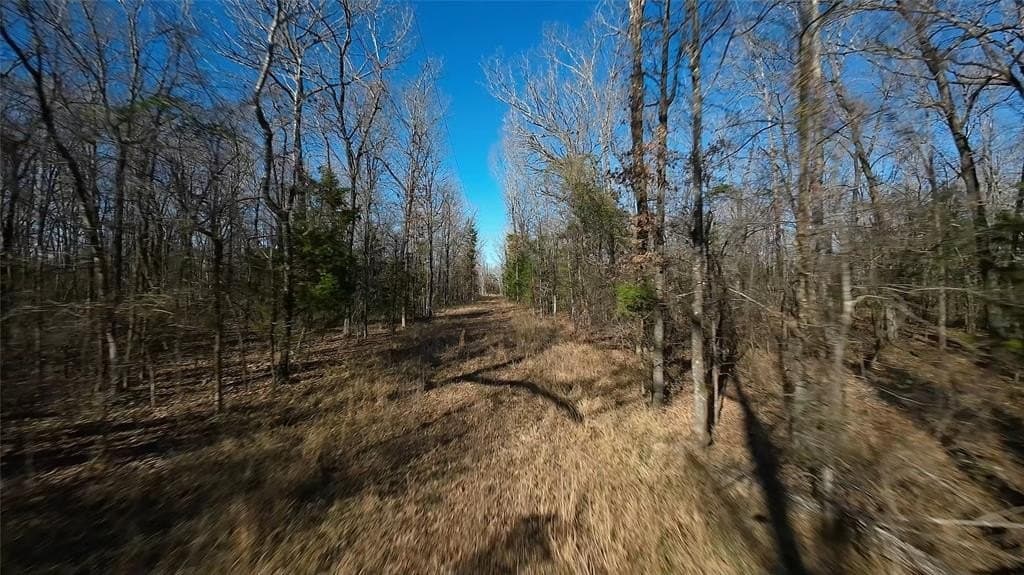 10.35 acres in Bowie County - photo 2