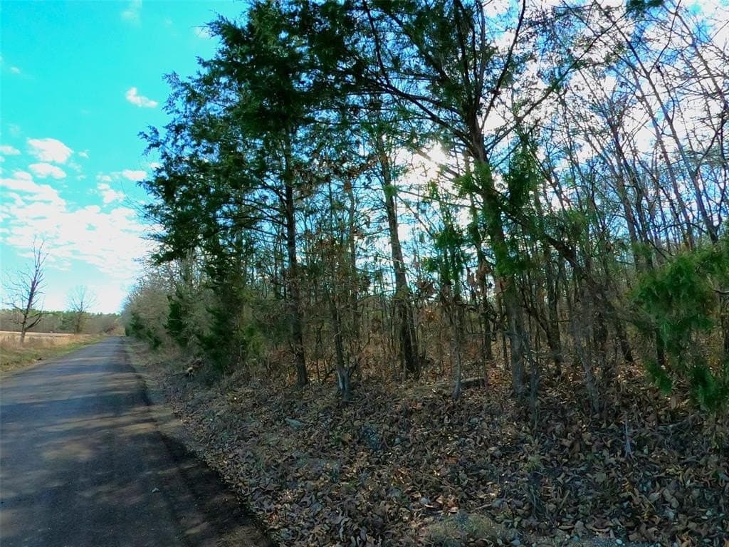 10.35 acres in Bowie County - photo 18
