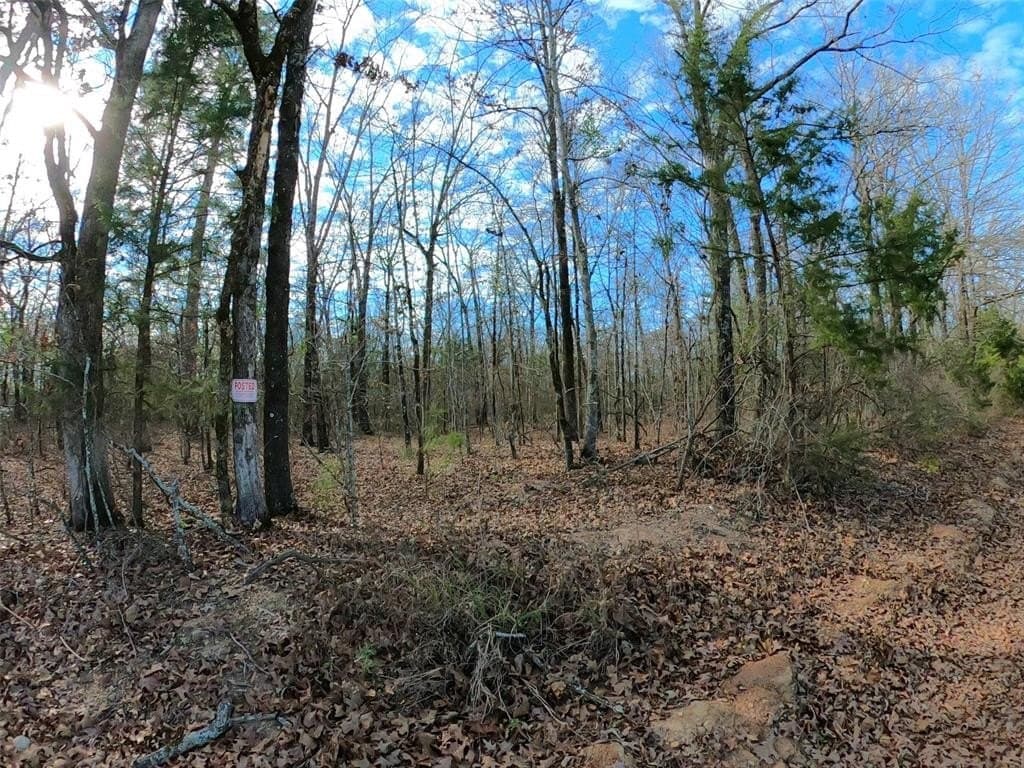 10.35 acres in Bowie County - photo 8