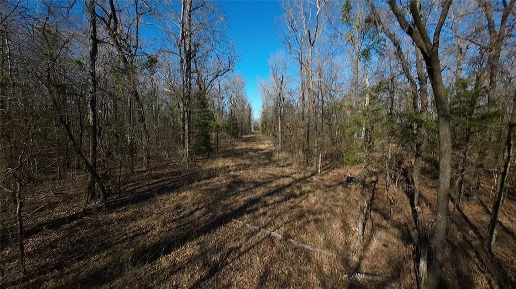 10.35 acres in Bowie County - photo 9